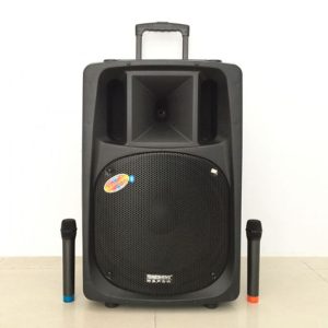 Loa di động kèm 2 mic